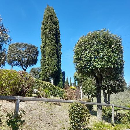 Villetta Dei Lecci Castelfiorentino Zewnętrze zdjęcie