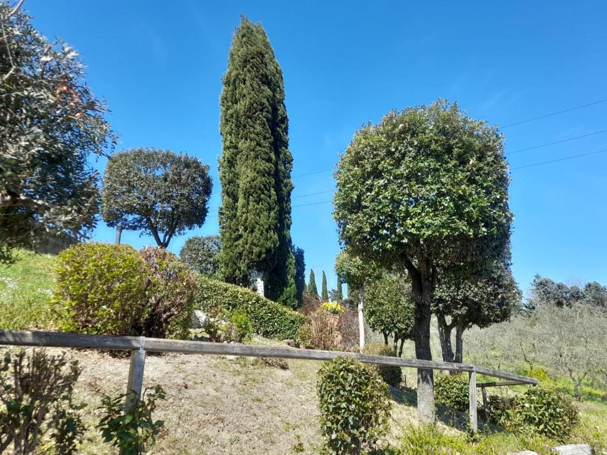 Villetta Dei Lecci Castelfiorentino Zewnętrze zdjęcie